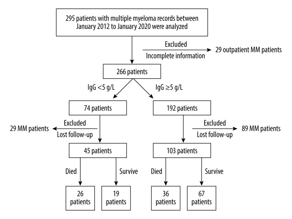 Flow chart of the selection of multiple myeloma (MM) patients with or without secondary immunodeficiency (SID).
