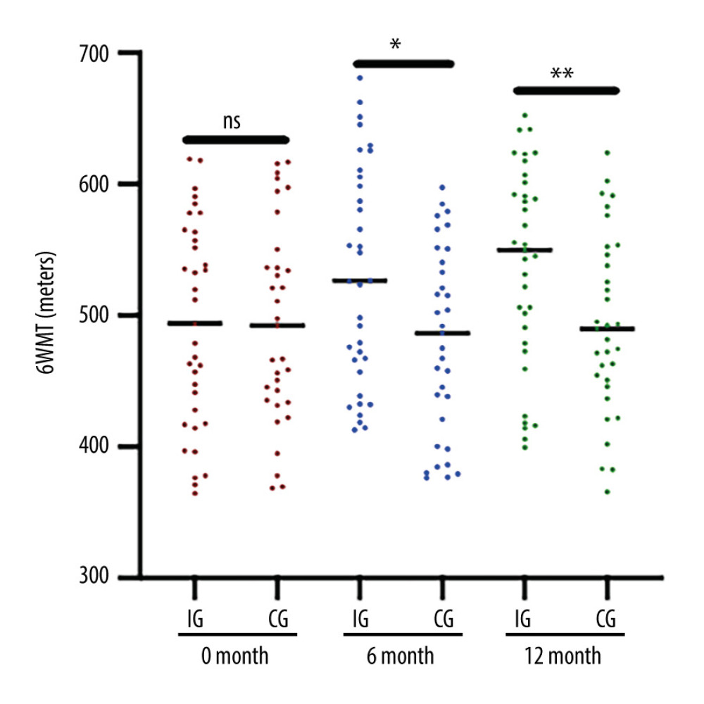Six-minute walk test (6MWT) results in the 2 groups. The hemolysis patients were divided into either the Control Group (CG, n=35) or the Intervention Group (IG, n=33). The IG received nutritional supplementation, and the CG group received routine nutritional support. The statistical difference was insignificant for ns between the 2 groups. * P<0.05, and ** P<0.01 vs the IG group.