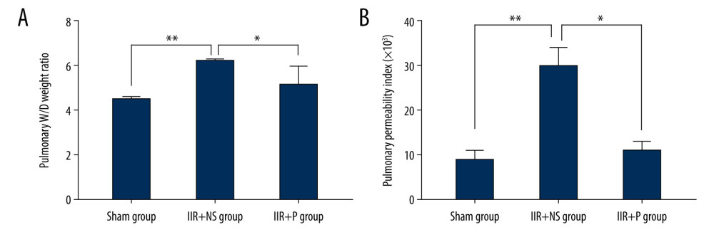 (A, B) Pulmonary wet/dry (W/D) weight ratio and pulmonary permeability index in the sham, IIR+NS, and IIR+P groups. Data are expressed as the mean±SD (n=8). * P<0.05, ** P<0.01. IIR – intestinal ischemia-reperfusion; NS – normal saline; P – propofol.
