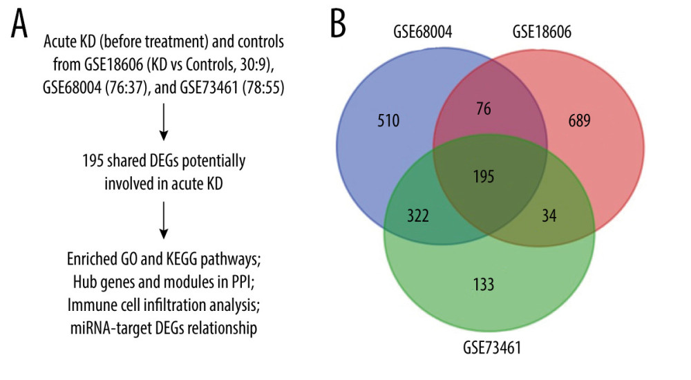 Study flowchart and Venn diagram. (A) The GSE datasets and bioinformatic analyses used in this study. (B) Venn diagram showing the 195 shared DEGs in GSE18606, GSE68004, and GSE73461.