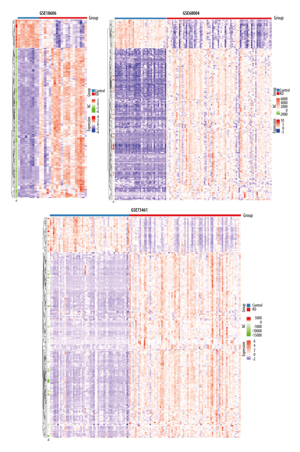 Heatmaps of the shared DEGs in the 3 datasets. The expression of the 195 shared DEGs among KD and controls in each dataset are shown via heatmap. The x-axis represents different samples, and y-axis represents different genes. The red boxes indicate upregulated genes, and blue boxes indicate downregulated genes.