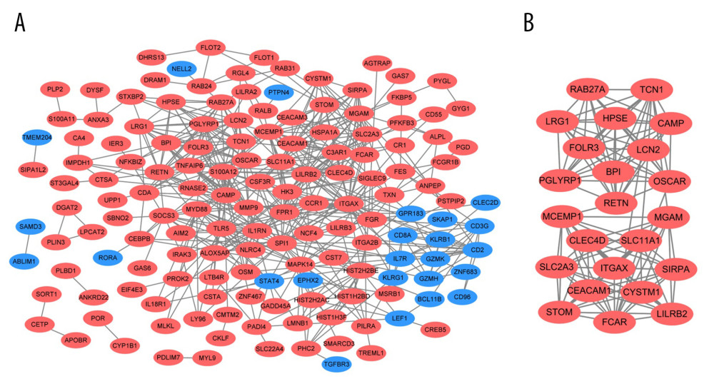 PPI network and the most significant module. Upregulated genes are marked in red and downregulated genes are marked in blue in the PPI network (A). The most significant module in PPI network was also identified (B).