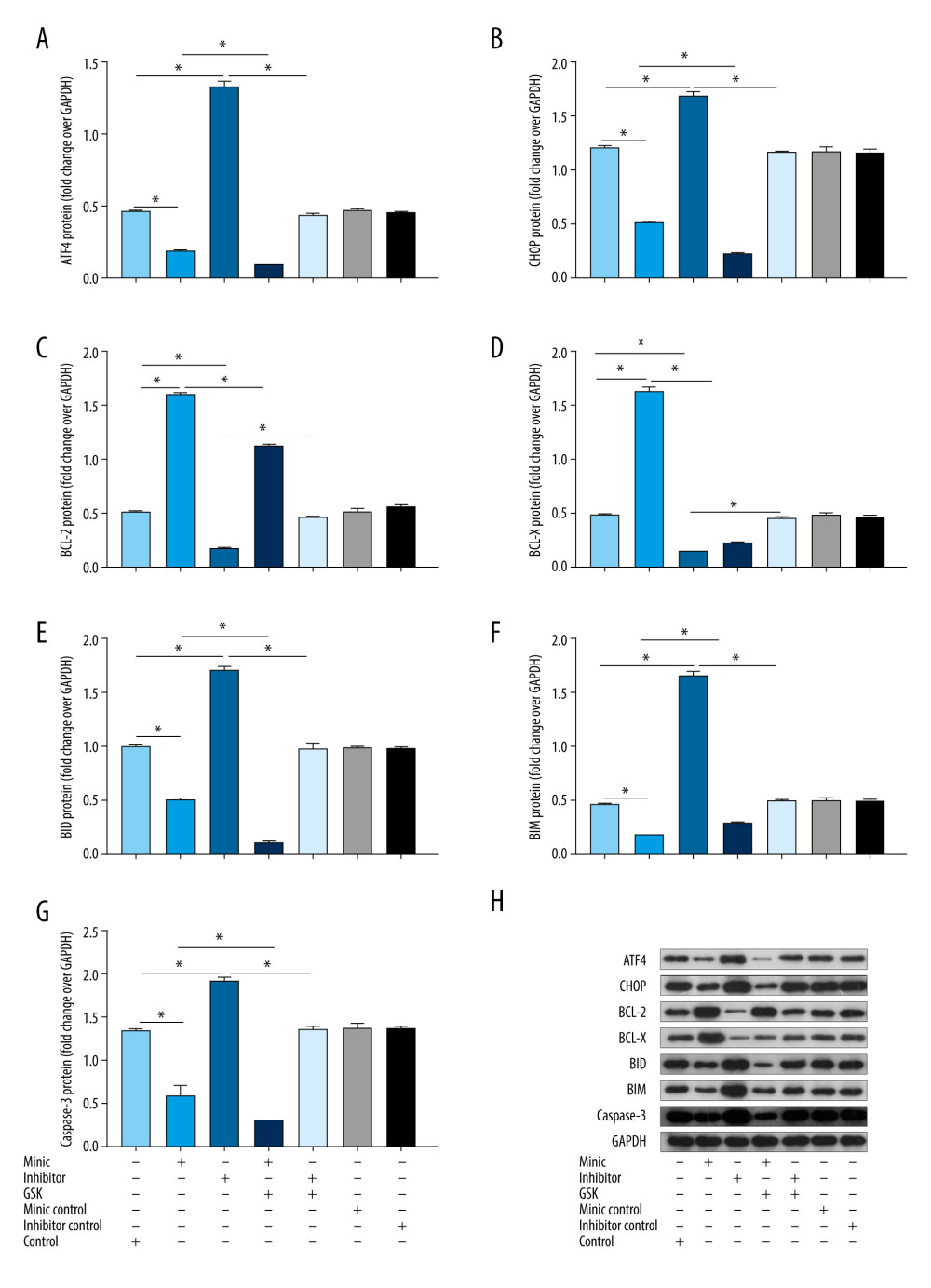 The protein expression levels of endoplasmic reticulum stress and apoptosis-related genes in human amniotic epithelial cells intervened by miR-1283. (A–G) of activating transcription factor 4 (ATF4), C/EBP-homologous protein (CHOP), BCL-2, BCL-X, BH3-interacting domain death agonist (BID), Bcl-2-like protein 11 (BIM), caspase-3 protein expression. (H) Western blotting of indicated proteins. Control – control group; mimic – miR-1283 mimic group; inhibitor – miR-1283 inhibitor group; GSK – GSK2656157; mimic control – miR-1283 mimic negative control; inhibitor control – miR-1283 inhibitor negative control group. * P<0.05.