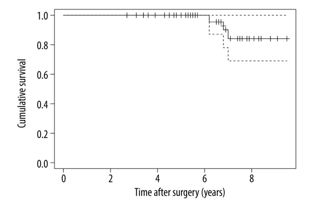 Kaplan-Meier survivorship curve with revision for any cause defined as the end point according to the Delphi consensus.