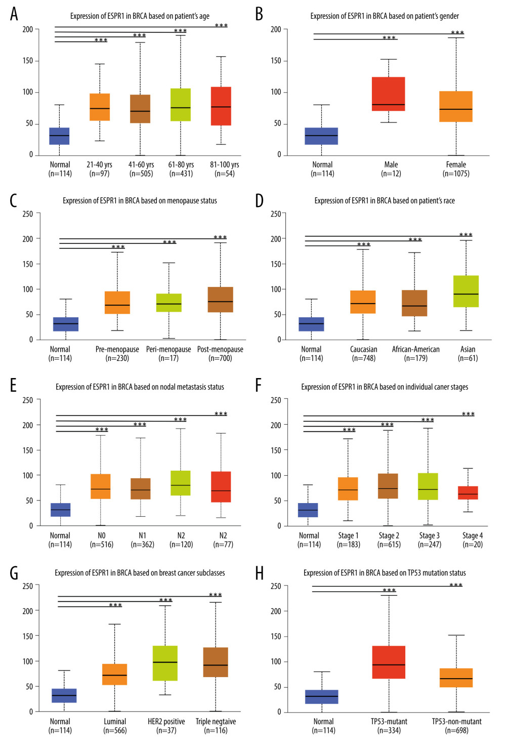 Association of ESRP1 expression with clinicopathological characteristics in breast cancer. University of Alabama Cancer (UALCAN) analysis showed the mRNA level of ESRP1 in breast cancer patients with distinct clinicopathological characteristics included (A) age, (B) sex, (C) menopause status, (D) race, (E) nodal metastasis status, (F) individual cancer stages, (G) subtypes, and (H) TP53 mutation status. * P<0.05, ** P<0.01, *** P<0.001.