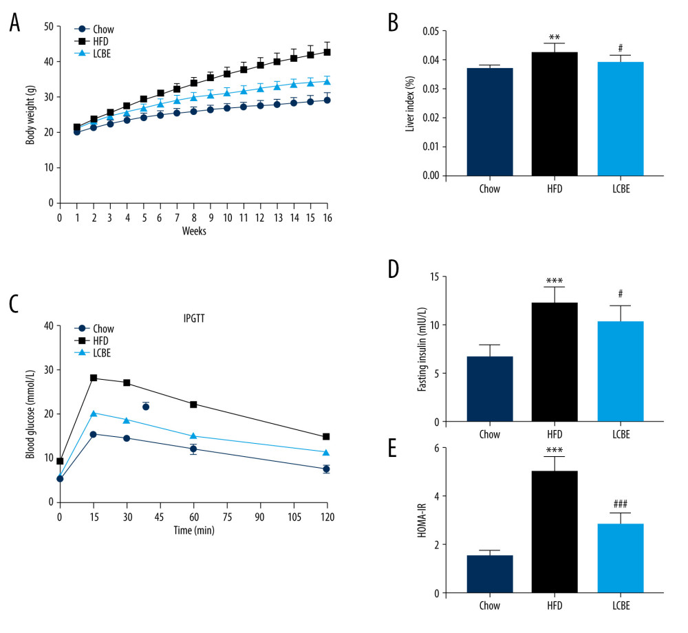 LCBE prevents abnormal weight, liver weight, and liver index levels, and improves glucose tolerance and insulin resistance in mice fed a high-fat diet (HFD). (A) Body weight; (B) liver index; and (C) blood glucose concentration in the intraperitoneal glucose tolerance test (IPGTT); (D) levels of serum insulin; and (E) determination of HOMA-IR. The data are expressed as means±SD. # P<0.05, ## P<0.01, ### P<0.001 vs Chow, * P<0.05, ** P<0.01, *** P<0.001 vs HFD.