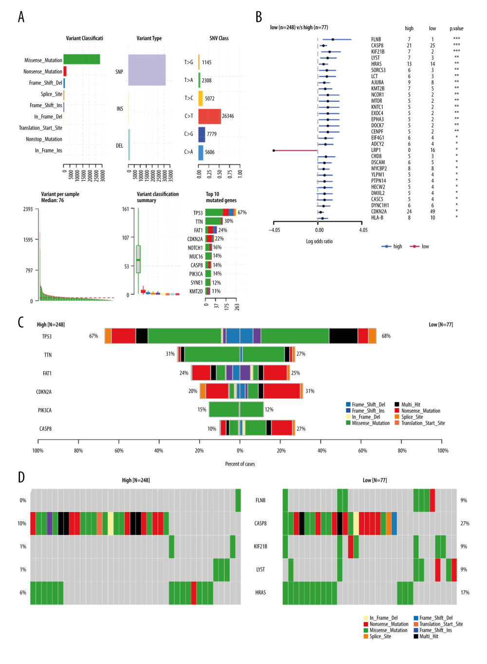 The relationship between MFAP4 and TMB. (A) Overview of mutation data of OSCC tumors in the TCGA database. (B) Group comparison of the first 6 mutant genes. (C) Forest plot of genes that were highly mutated in the high MFAP4 expression group compared to the low expression group. (D) Comparison of mutation data of the top 5 mutant genes between the high and low MFAP4 expression groups.