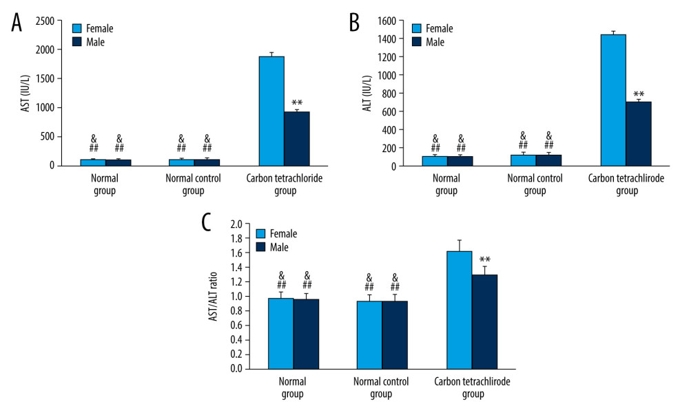 (A) Serum aspartate aminotransferase (AST), (B) alanine aminotransferase (ALT) levels, and (C) AST/ALT ratio in mice at 24 h after intraperitoneal injection of carbon tetrachloride (CCl4). Male or female mice that were fed normally formed the normal group, mice that were treated with normal feeding plus olive oil intake by intraperitoneal injection formed the normal control group, and the CCl4 group comprised normal feeding plus 0.1% CCl4, which was diluted with olive oil intake (0.1 ml per 10 g body weight) by intraperitoneal injection. All data are presented as the mean±standard deviation (SD). ** P<0.01: there was a significant difference between the female group and the male group. ## P<0.01: there was a significant difference between the female CCl4 group and the normal group or the normal control group. & P<0.05: there was a significant difference between the male CCl4 group and the normal group or the normal control group. Experiments were repeated in triplicate.