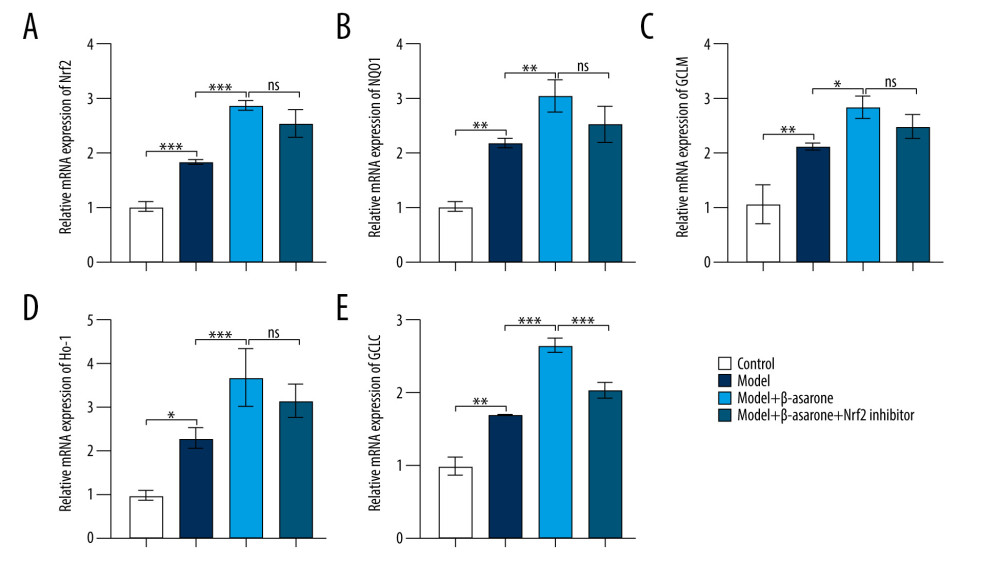 RT-qPCR assay for detection of the mRNA expression of Nrf2-ARE pathway-related proteins in brain tissues of MCAO rat models. (A) Nrf2; (B) NQO1; (C) GCLM; (D) HO-1 and (E) GCLC. Ns – not significant; * p<0.05, ** p<0.01, *** p<0.001.