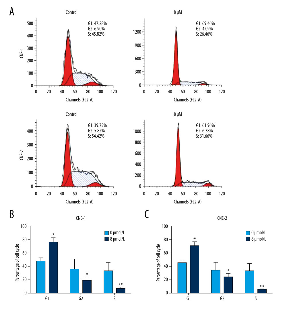 Effect of inhibition of FoxM1 on NPC cell cycle progression(A) CNE-1 and CNE-2 cells were exposed to vehicle or 8 μM thiostrepton for 72 h, and then a flow cytometric assay was performed to analyze the cell cycle distribution based on the DNA content in the cells. (B) Quantification of data for CNE-1 cells in A (n=3). (C) Quantification of data for CNE-2 cells in A (n=3). * P<0.05, ** P<0.01 compared to the control.