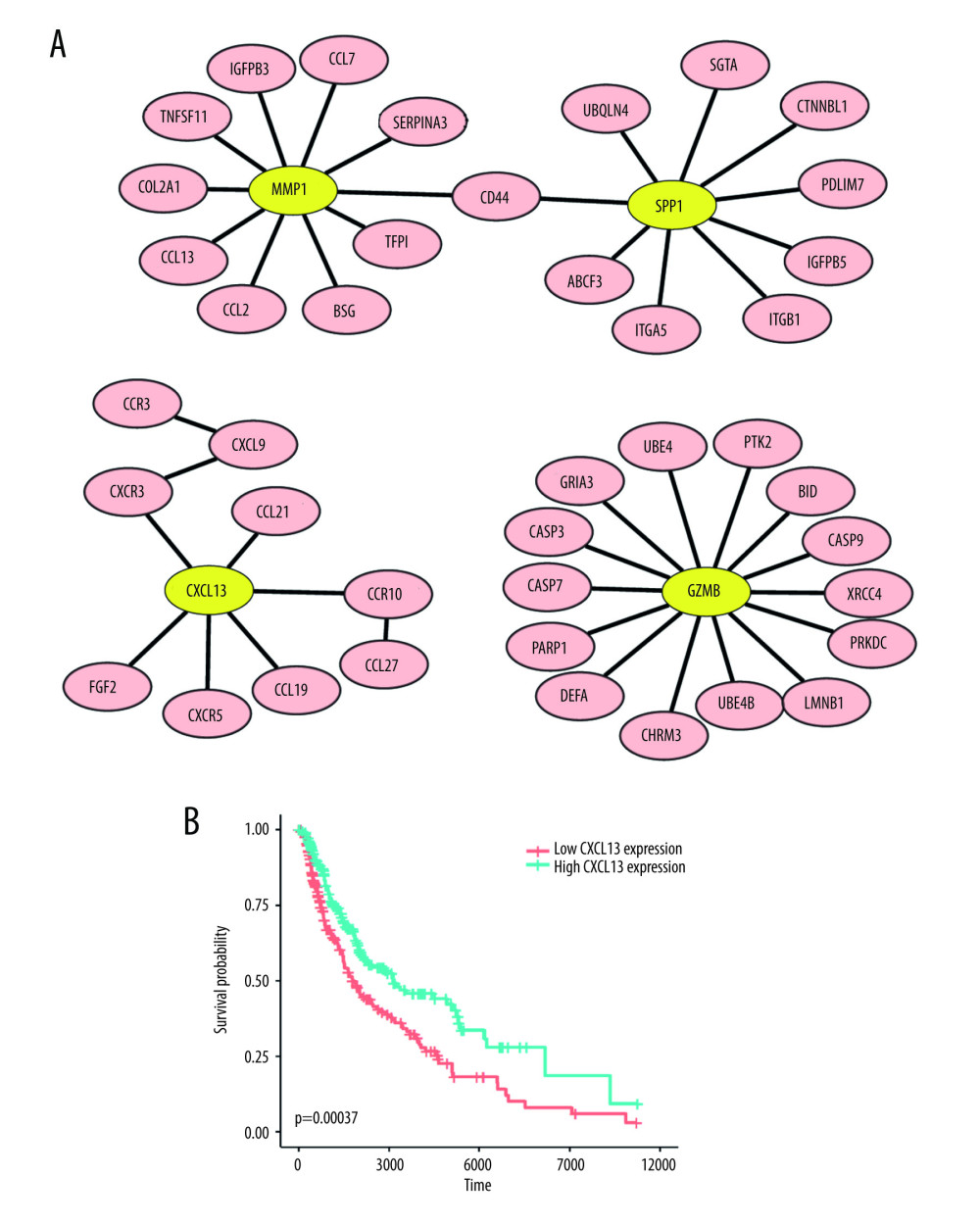 The network and survival plot. (A) The PPI (Protein-Protein Interaction) network of 4 high-degree DEGs (differentially-expressed genes). (B) Kaplan-Meier survival curves show that the expression of CXCL13 is consistently associated with better overall survival (OS) in SKCM. Figure 2A was produced using Cytoscape (version 3.8.2, https://cytoscape.org/). Figure 2B was produced using survival and survminer packages in R (version 3.6, https://www.r-project.org/).