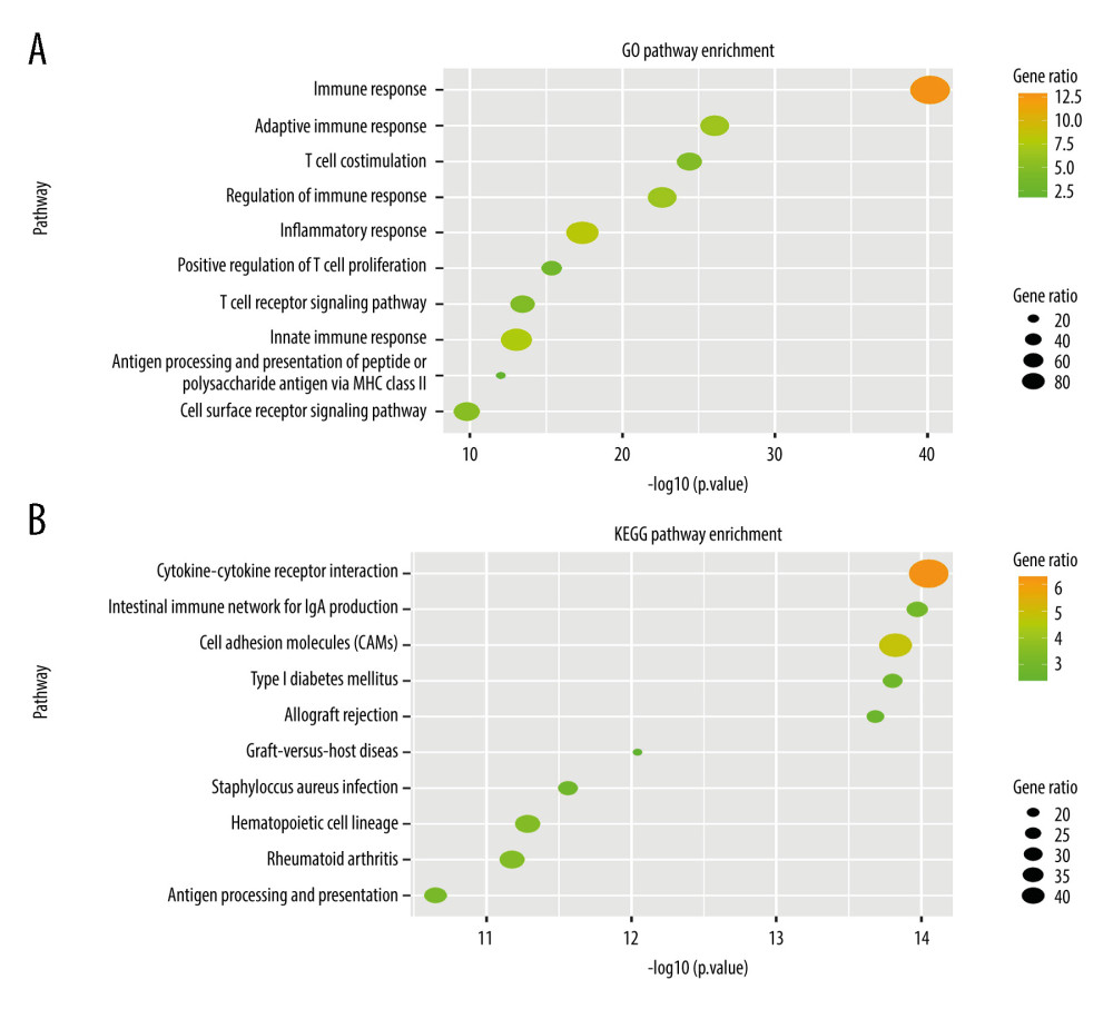 Gene Ontology and KEGG pathway enrichment analysis of differentially expressed genes between the RS-immune group and non-RS-immune group. The top 10 GO biological process enrichment results (A) and top 10 KEGG enrichment results (B) for differentially expressed genes.