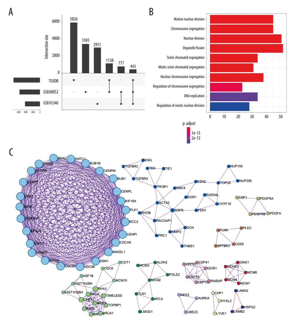 Identification of candidate genes related to immunotherapy. (A) Identification of common differentially expressed genes from 3 datasets. (B) The gene ontology annotation and pathway enrichment analysis of differentially expressed genes. (C) PPI networks and 11 subclusters of differentially expressed genes. R software Version 4.0.0 (http://www.r-project.org) and Metascape online tools http://metascape.org/gp/index.html#/main/step1.