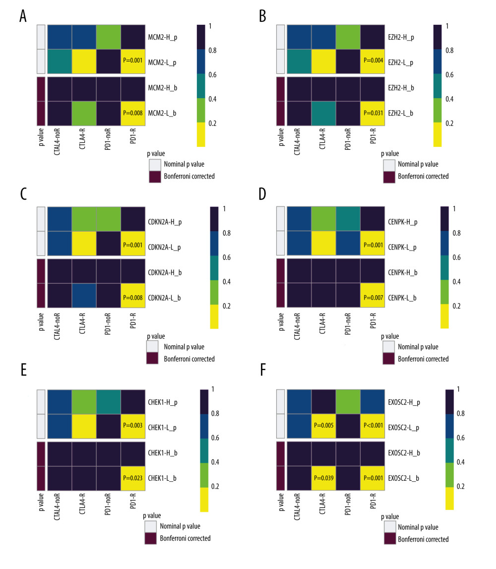 SubClass Mapping analysis of the 6 key genes to predict the likelihood of response to immune therapy. (A) Low expression of MCM2 was correlated with favorable response to anti-PD-1 treatment. (B) Low expression of EZH2 was correlated with favorable response to anti-PD-1 treatment. (C) Low expression of CDKN2A was correlated with favorable response to anti-PD-1 treatment. (D) Low expression of CENPK was correlated with favorable response to anti-PD-1 treatment. (E) Low expression of CHEK1 was correlated with favorable response to anti-PD-1 treatment. (F) Low expression of EXOSC2 was correlated with favorable response to anti-CTLA4 treatment and anti-PD-1 treatment. R – response; noR – no response; -L – low-expression group of certain gene; -H – high-expression group of certain gene. (R software (Version 4.0.0, http://www.r-project.org)).