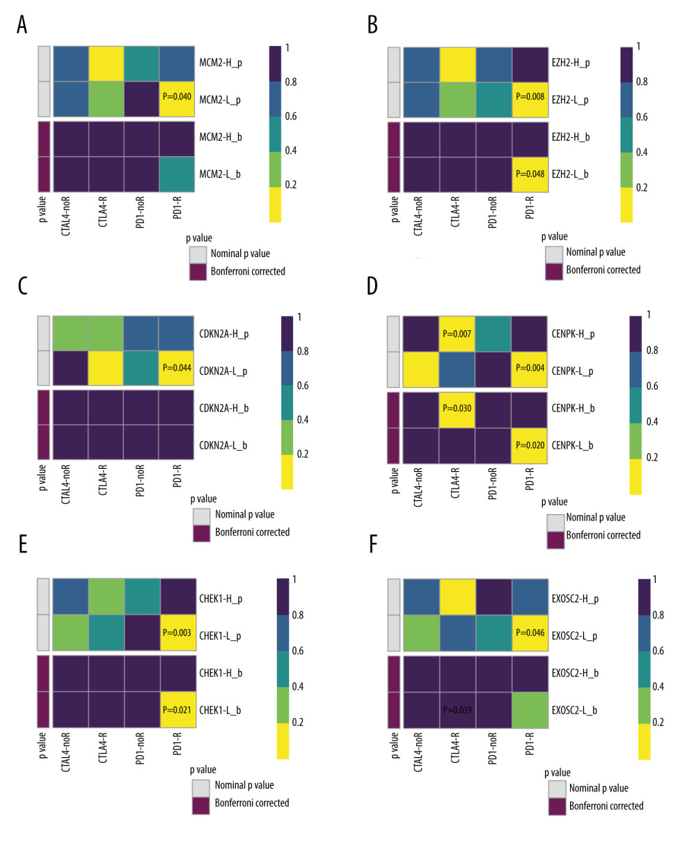 Validation of the 6 key genes to predict immunotherapeutic response in the CCLE cohort. (A) There was no significant correlation between MCM2 and immune response. (B) Low expression of EZH2 was correlated with favorable response to anti-PD-1 treatment. (C) There was no significant correlation between CDKN2A and immune response (D) Low expression of CENPK was correlated with favorable response to anti-PD-1 treatment. (E) Low expression of CHEK1 was correlated with favorable response to anti-PD-1 treatment. (F) There was no significant correlation between EXOSC2 and immune response. R – response; noR – no response; -L – low-expression group of certain gene; -H – high-expression group of certain gene. (R software (Version 4.0.0, http://www.r-project.org)).