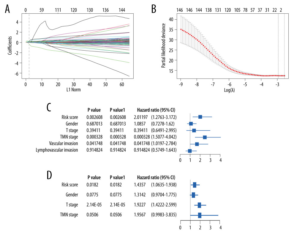 Lasso-Cox regression and multivariate Cox regression analysis of prognostic m6A-related genes. (A, B) 9 m6A-related prognostic genes were screened by LASSO-Cox regression analysis and random permutation. (C, D) The hazard ration (HR) and P values of the training set (TCGA) and the validation set (GSE39582) were calculated by multivariate Cox regression. LASSO-Cox regression analysis to construct the prognostic model of these m6A-related genes with R package glmnet (V4.1).
