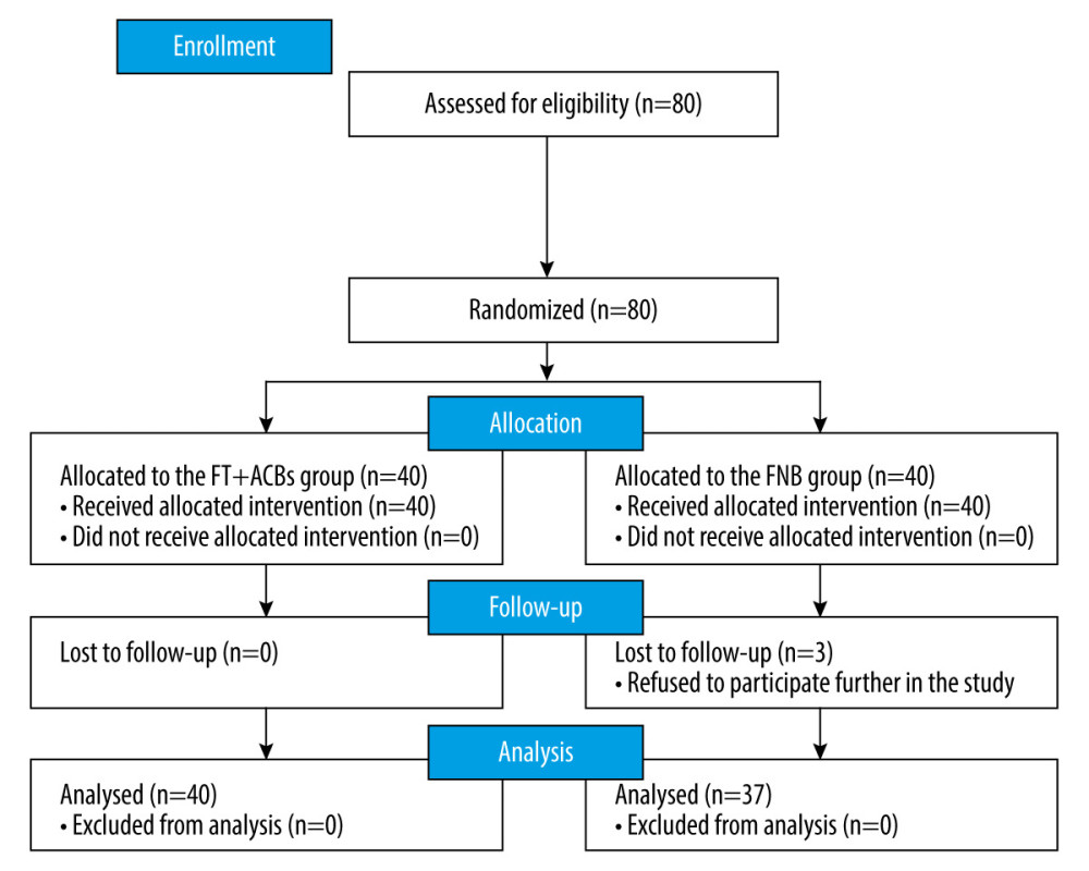A Consolidated Standards of Reporting Trials (CONSORT) flow diagram of patients’ randomization, allocation, and analysis. FT+ACBs – distal femoral triangle and distal adductor canal blocks; FNB – femoral nerve block.