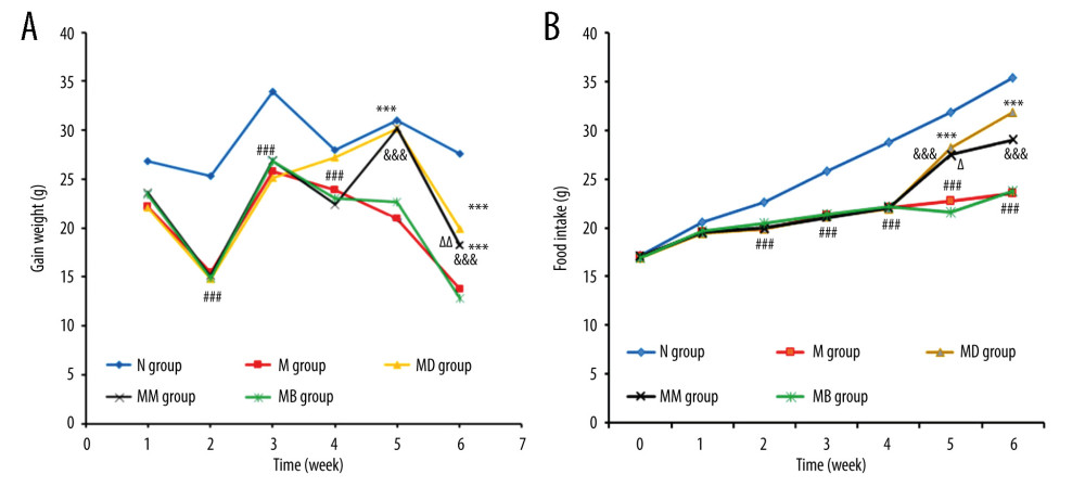 The weight gain (A) and food intake (B) of rats (n=10/group) (mean±SEM). ### P<0.001 vs N group; ** P<0.001 vs M group; Δ P<0.05, ΔΔ P<0.01 and ΔΔΔ P<0.001 vs MD; &&& P<0.001 vs MB group.
