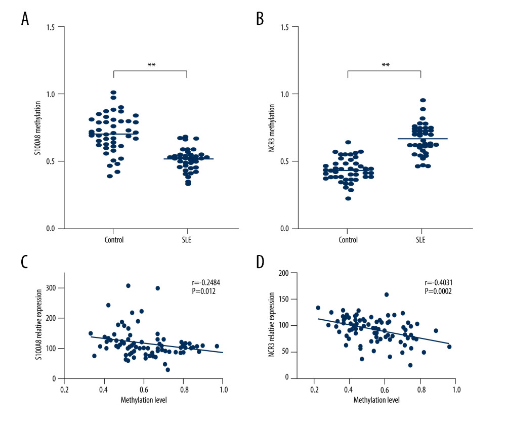 Correlation analyses of DNA methylation and gene expression. The methylation profiles of (A) S100A8 and (B) NCR3, and the correlation between these 2 gene expressions and methylation profiles (C, D).