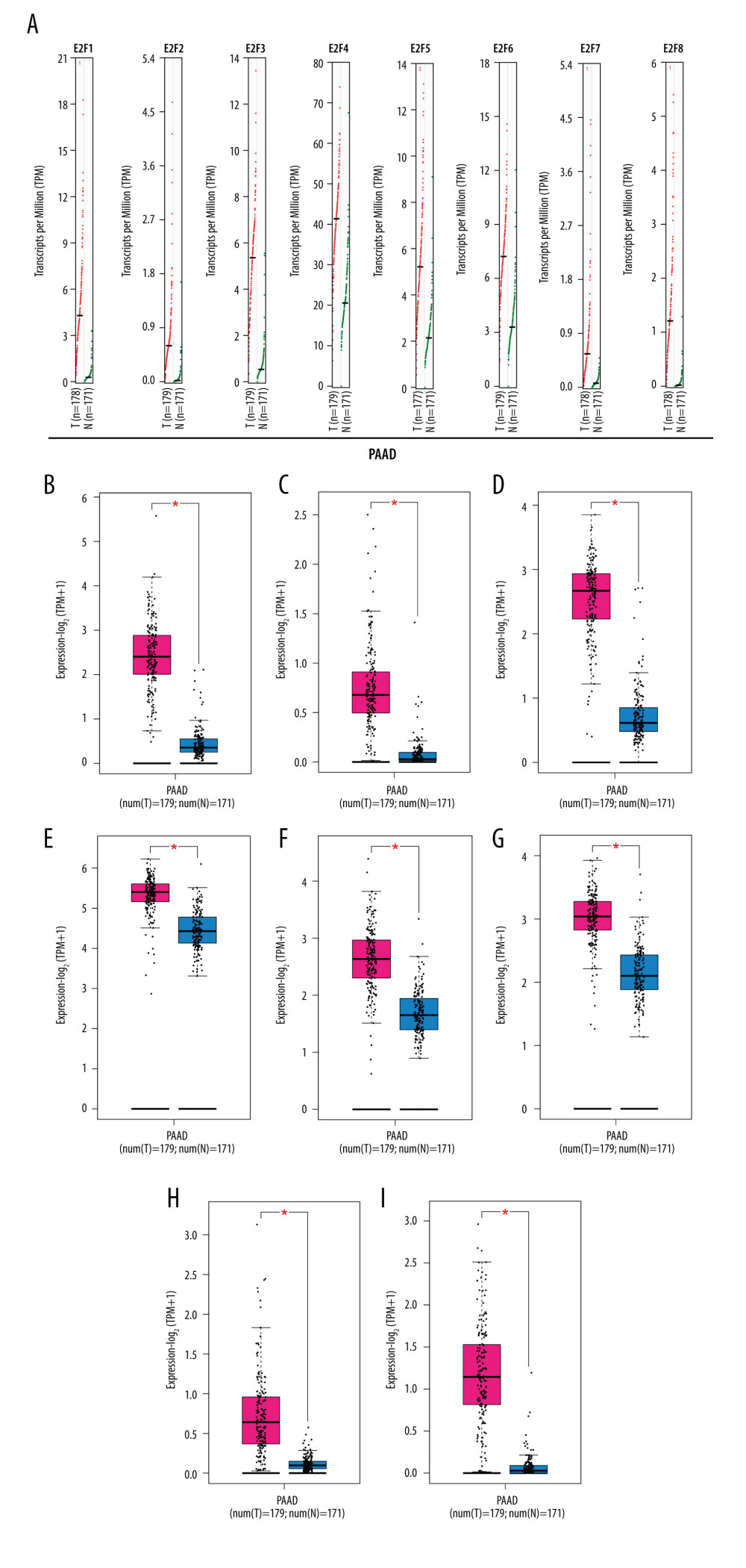 GEPIA-based assessment of E2F protein expression levels in PAAD. (A) Differential E2F protein expression in PAAD and normal tissue samples was assessed using the GEPIA database. (B–I) Box plots were used to demonstrate differences in E2F expression between PAAD and normal tissues in the GEPIA database.