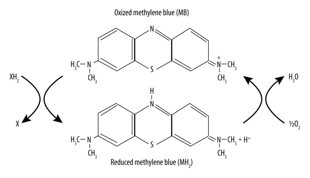 Chemical structure and redox balance of methylene blue (MB). MB has powerful autoxidizable properties. It can accept electrons from an electron donor in its oxidized form and acts as an electron donor in its reduced form. At low concentrations in vivo, the 2 forms of MB are at equilibrium, forming a reversible reduction-oxidation system.