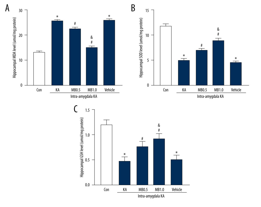 Effect of methylene blue (MB) on levels of hippocampus (A) malondialdehyde, (B) superoxide dismutase, and (C) glutathione 3 h after kainic acid (KA) administration. Values are expressed as means±standard error of the mean. (n=11 vehicle+KA group, n=12 MB 0.5 mg/kg or 1 mg/kg+KA group) * P<0.05 vs control group; # P<0.05 vs KA or vehicle+KA group; & P<0.05 vs MB 0.5 mg/kg+KA group. (Prism 8, version 8.3.0).