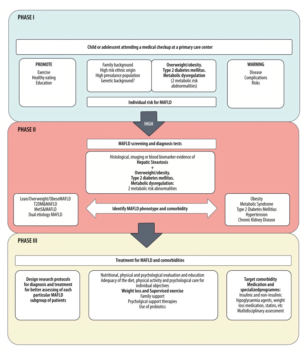 Metabolic-associated fatty liver disease in children and adolescents: risk, diagnosis, and holistic treatment assessment model. Phase I in this context: it is highly recommended that first-contact clinicians or pediatricians caring for children and adolescents in the community assess the individual risk of metabolic-associated fatty liver disease (MAFLD) and highlight activities that help to prevent it. Phase II: if the individual risk for each child/adolescent patient is high (multiple risk factors), referral to a specialist in pediatric hepatology, gastroenterology, or endocrinology, as well as MAFLD screening and diagnostic tests, should not be delayed. Further, if a MAFLD diagnosis is made, MAFLD phenotype and comorbidities must be assessed. Phase III: in this stage, after MAFLD initial assessment, non-pharmacological therapies (nutritional, physical, and psychological approaches) should be introduced based on individual objectives for weight loss and physical activity. If medications are indicated by the severity of liver disease (MAFLD) or comorbidity (eg, obesity, type II diabetes mellitus, hypertension, and chronic kidney disease), specialized programs with multidisciplinary assessment groups are encouraged.
