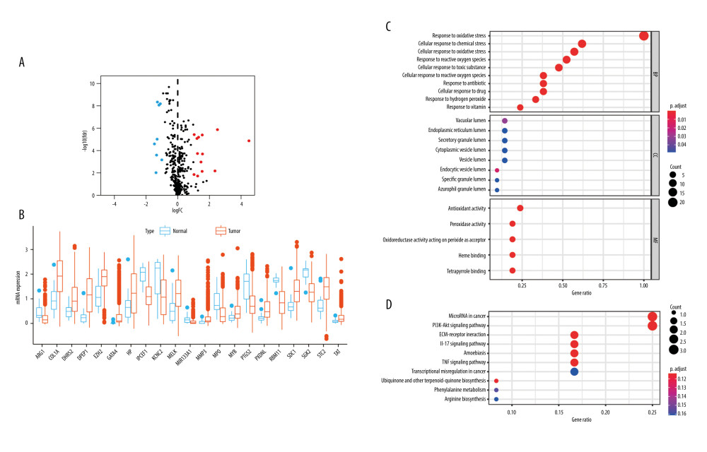 Twenty-one disease-associated, oxidative stress-related genes (OSRGs) and functional enrichment analysis. (A) In a volcano map, red indicates genes that are highly expressed, blue indicates genes with lower expression, and black indicates genes for which there is no significant difference in expression. (B) Differences in gene expression in samples from glioma (red bars) and normal tissue (blue bars). (C) The biological process (BP), cellular components (CC), and molecular functions (MFs) of OSRGs in the Gene Ontology analysis. (D) The potential pathways of OSRGs in the Kyoto Encyclopedia of Genes and Genomes analysis. (R Studio, Version 1.2.5042, RStudio, Inc.).