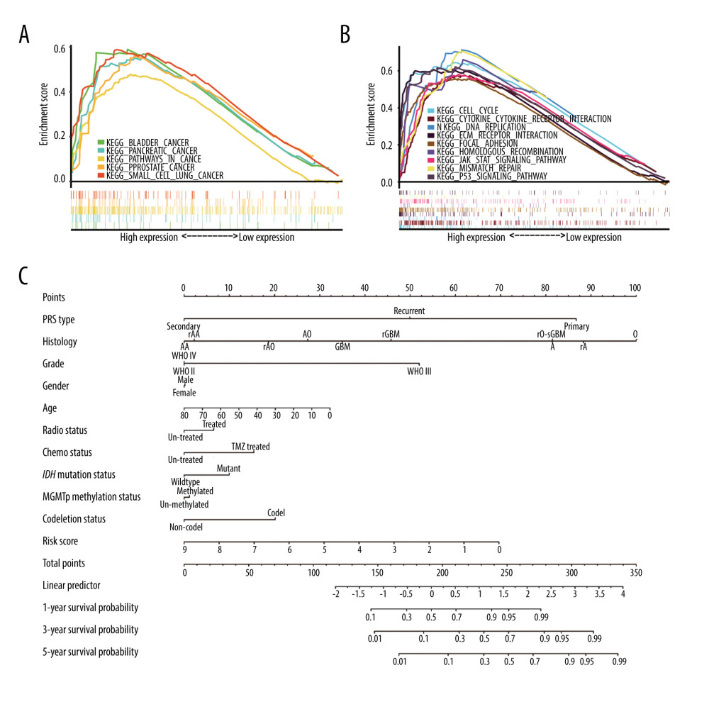 Gene set enrichment analysis (GSEA) results in high-risk groups and a nomogram. (A) GSEA in multiple carcinomas (B) GSEA in multiple cancer-related pathways. (C) Nomogram for predicting 1-, 3- and 5-year survival rates in glioma patients. (R Studio, Version 1.2.5042, RStudio, Inc.).