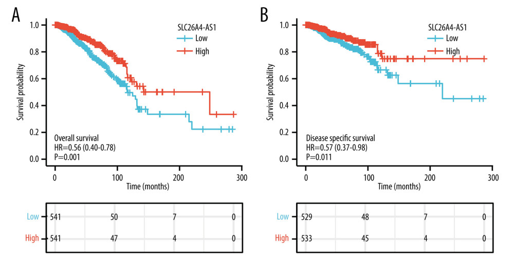 Low expression of SLC26A4-AS1 is associated with poor overall survival and disease-specific survival in patients with breast cancer. (A) Overall survival. (B) Disease-specific survival.