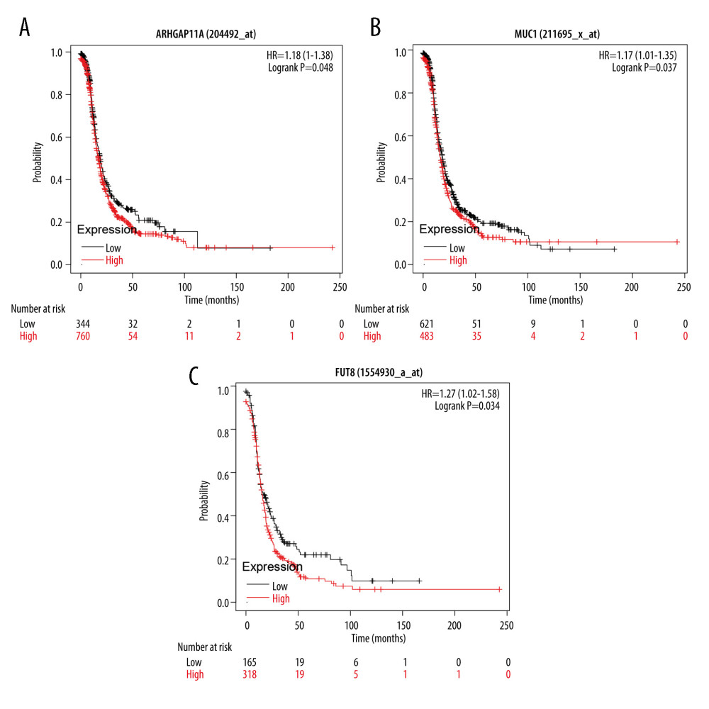(A–C) The survival analysis of ARHGAP11A, MUC1, and FUT8 genes in the Kaplan-Meier plotter database. The patients were stratified into a high-level group or a low-level group according to the median expression.