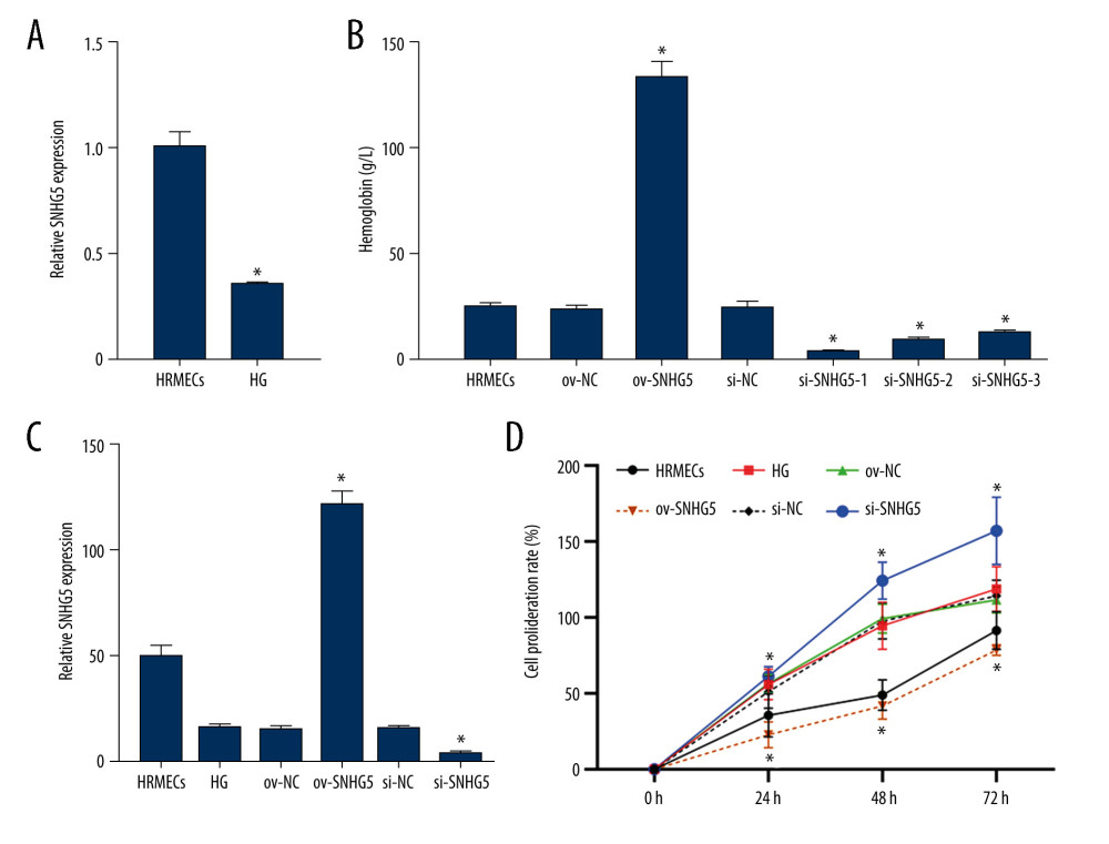 SNHG5 reversed the effect of high glucose induction. RT-qPCR (A) analysis showed that the expression of SNHG5 was different in HRMECs induced by high glucose. (B) RT-qPCR analyzed the expression of SNHG5 after transfecting HRMECs with the plasmid overexpressing lncRNA SNHG5 and 3 si-SNHG5. After transfection of ov-SNHG5 or si-SNHG5, RT-qPCR (C) assays and CCK8 (D) assays were performed to analyze the changes in expression of SNHG5 and cell proliferation in each group. Transfection of ov-SNHG5 or si-SNHG5 was divided into the control group, HG group, HG+ov-NC group, HG+ov-SNHG5 group, HG+si-NC group, and HG+si-SNHG5 group. * P<0.05; CCK8 – Cell Counting Kit-8; HG – high glucose; NC – negative control; HRMECs – Human Retinal Microvascular Endothelial Cells. Photoshop software (version 21.2.4; Adobe, Inc; San Jose, USA) was used for creation of the figure.