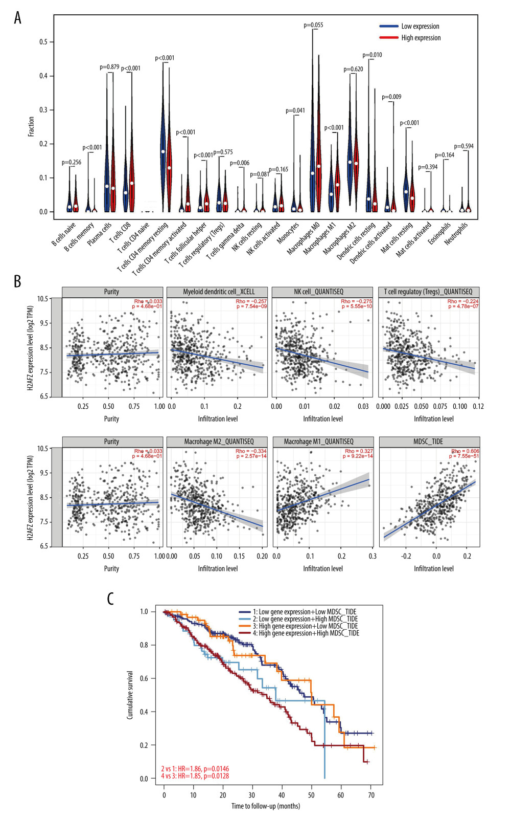 Correlation of H2AFZ with TIICs in LUAD. (A) Proportions of the 22 tumor-infiltrating immune cell subtypes in high and low H2AFZ expression groups. (B) Correlation between H2AFZ expression and immune cells in LUAD. (C) The combined impact of H2AFZ expression and MDSC infiltration on the survival of LUAD patients. R 4.1.0 software (R Development Core Team, Vienna).