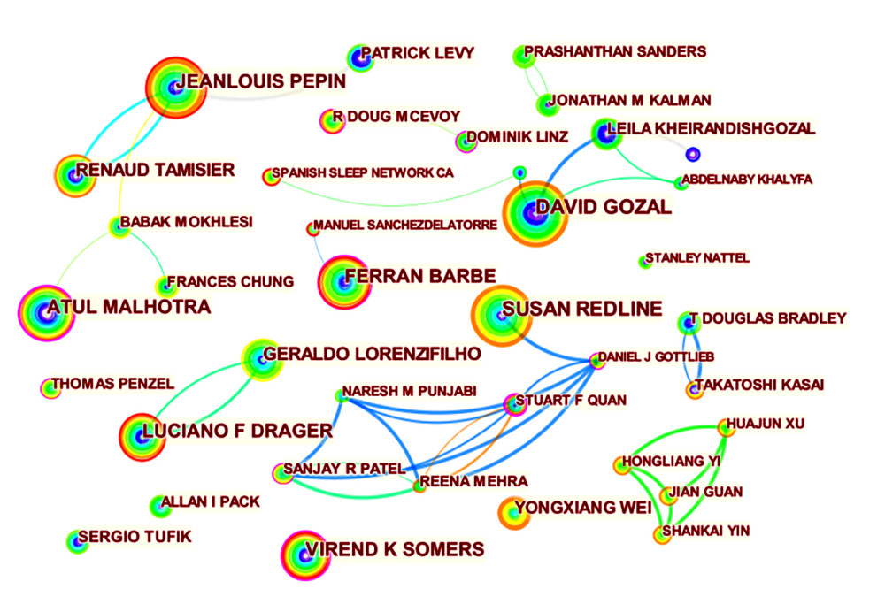 Co-occurrence map of authors (N=596, E=1514) (Citespace, Version 5.7 R5, University of Dressel, Chaomei Chen).