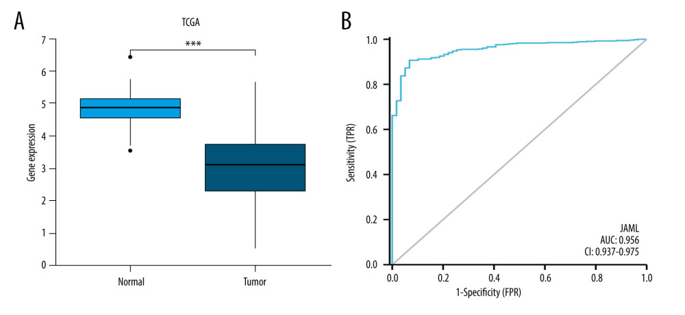 (A) JAML expression was lower in LUAD tissues than in normal tissues in TCGA database. (B) The ROC curve of JAML expression in LUAD. TPR – true positive rate; FPR – false positive rate. *** P<0.001. The figure was created using R statistical software (version 3.6.3).