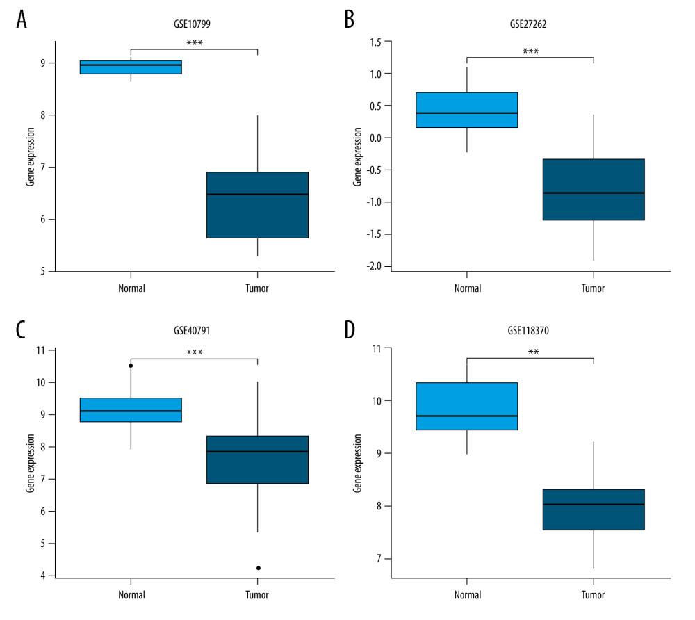 Validation of lower JAML expression in LUAD than that in normal tissues in (A) GSE10799, (B) GSE27262, (C) GSE40791, and (D) GSE118370 datasets. ** P<0.01; *** P<0.001. The figure was created using R statistical software (version 3.6.3).