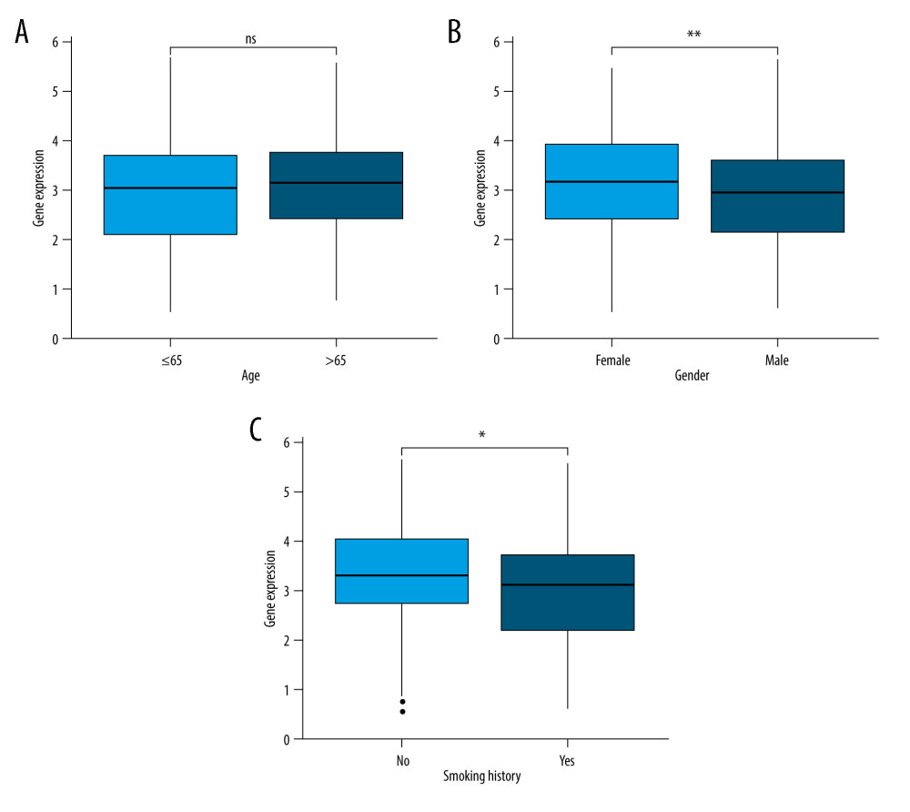 (A) There was no significant difference between JAML expression and age. (B) JAML expression was lower in males than in females. (C) JAML expression was lower in patients with smoking history than in those without smoking history. * P<0.05; ** P<0.01. The figure was created using R statistical software (version 3.6.3).