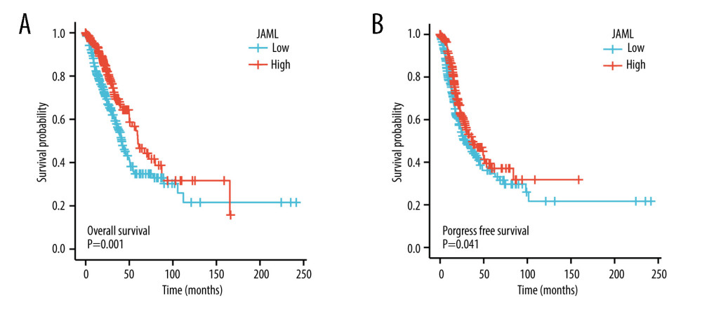 Kaplan-Meier survival curves for (A) overall survival (OS) and (B) progression-free survival (PFS) of the LUAD patients with high and low JAML expression level. The figure was created using R statistical software (version 3.6.3).