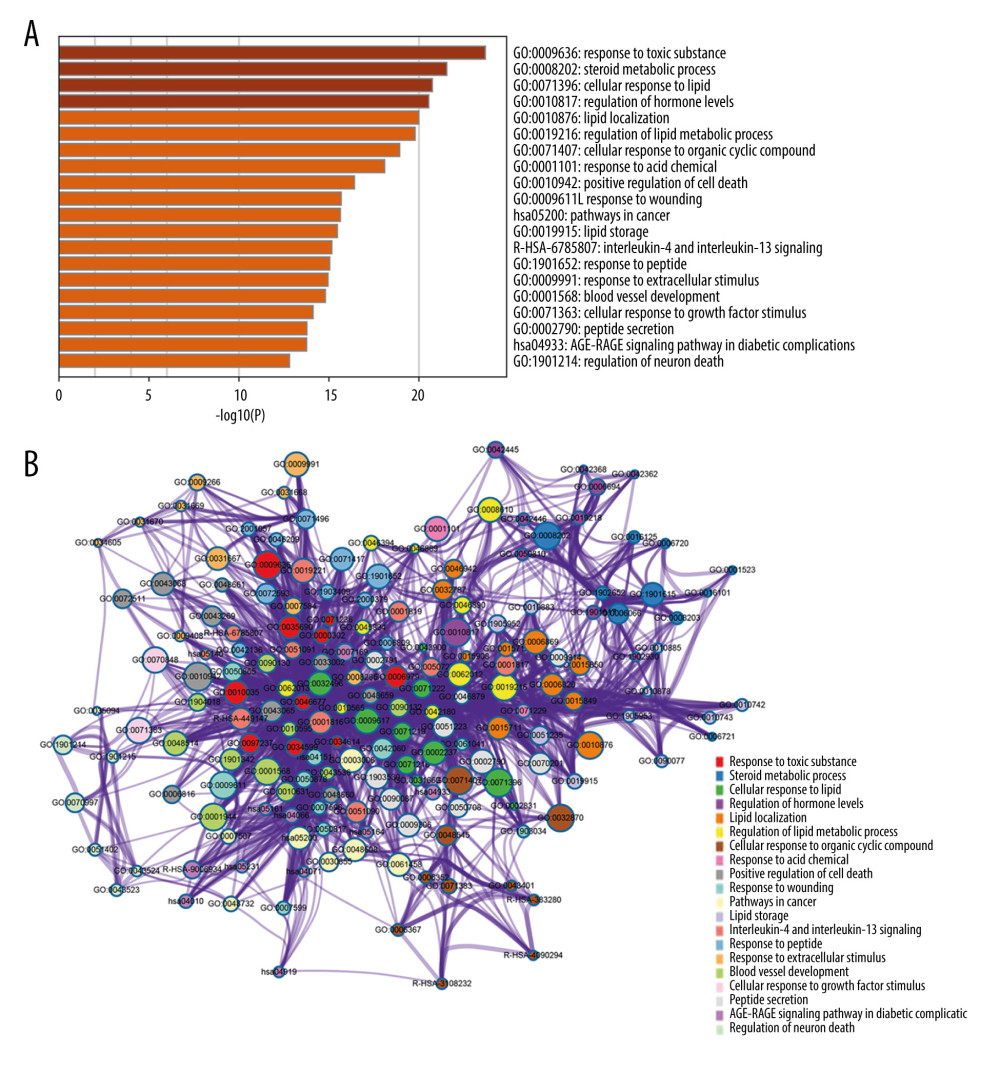 Functional enrichment analysis of target proteins by Metascape (http://metascape.org) (A) Top 20 clusters of functional enrichment; (B) interactive network of terms. Different node color indicates different clusters, the connection indicates the gene similarity between terms, and the node size indicates the number of enriched genes.