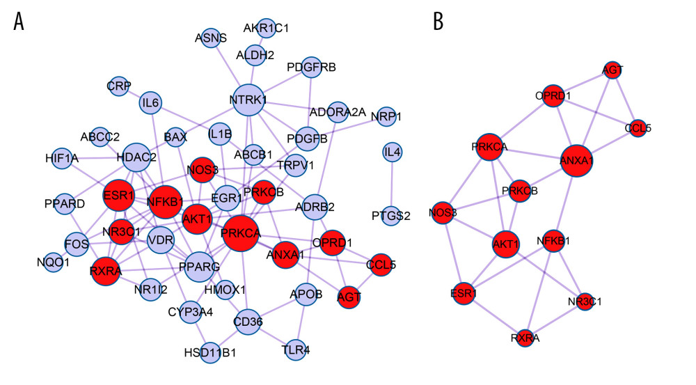 Construction of protein–protein interaction (PPI) network using Cytoscape (version 3.4.0, http://chianti.ucsd.edu/cytoscape-3.4.0/)(A) Identification of PPI pair via online tool Metascape. Edge represents the protein–protein interaction and red node represents gene in module. (B) Screening of module from PPI network by using MCODE algorithm. The size of the node represents the degree value of node.