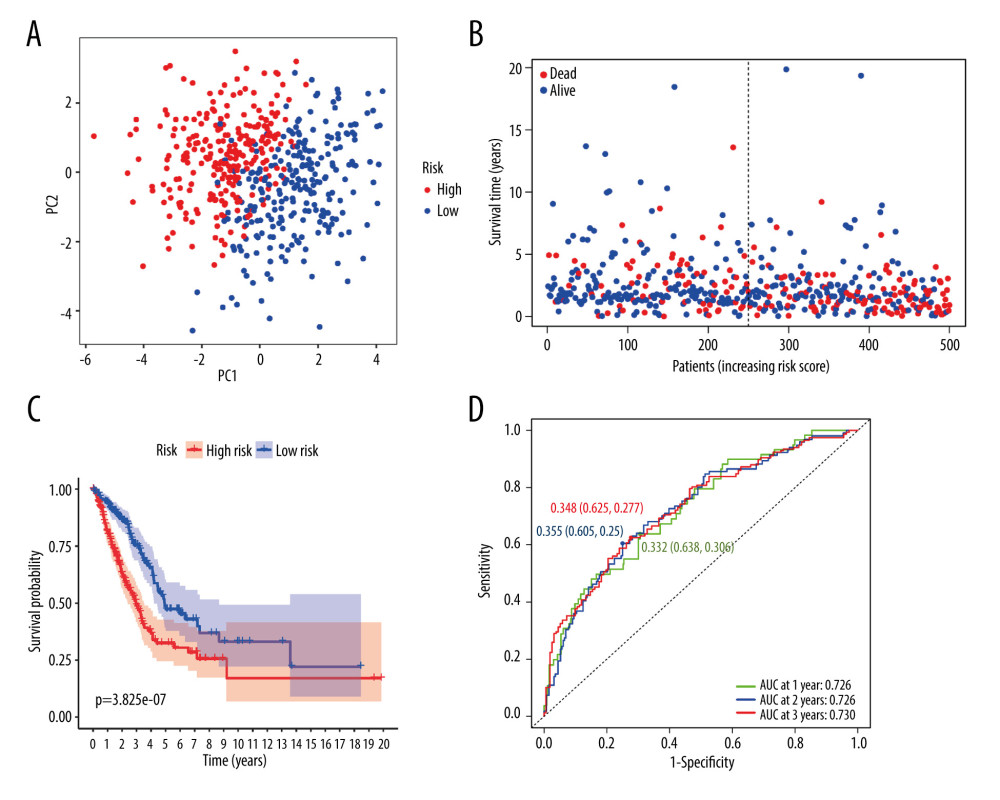 Generation of the prognostic model in the TCGA cohort. (A) PCA plot. (B) Survival of LUAD patients. (C) Kaplan-Meier OS curves for LUAD patients. (D) Time-dependent ROC curves. (R version 4.0.3, Ross Ihaka and Robert Gentleman, New Zealand).
