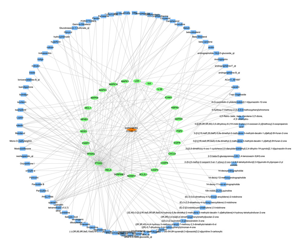 Active ingredient-target-disease network diagram. (Cytoscape 3.7.1). There are 115 nodes and 211 edges in the network, among which blue rectangles represent ingredients, green ellipses represent targets, and orange diamonds represent disease.
