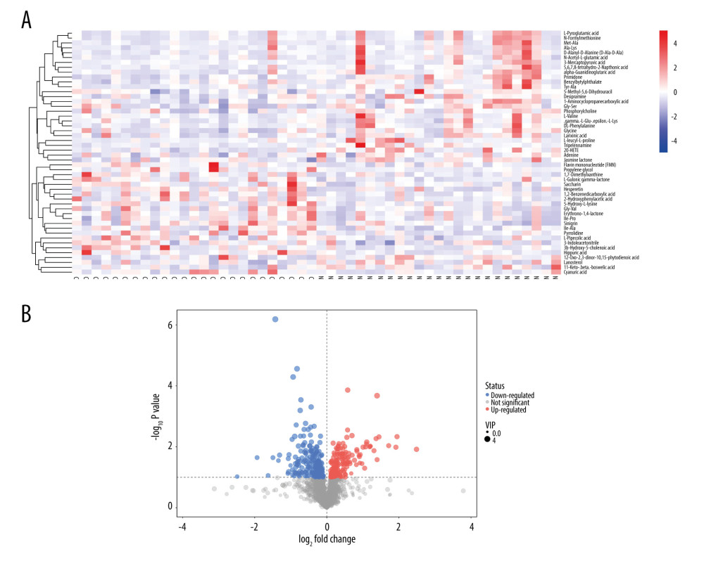 (A, B) Heatmap (R software & Kyoto Encyclopedia of Genes and Genomes (KEGG) website (https://www.kegg.jp/)) and volcano plot (SIMCA, version 15.0.2, Sartorius Stedim Data Analytics AB, Umea, Sweden) of metabolites with different levels between patients with constipation and healthy controls. Twenty metabolites had higher levels and 30 metabolites had lower levels in patients with constipation than in healthy controls.