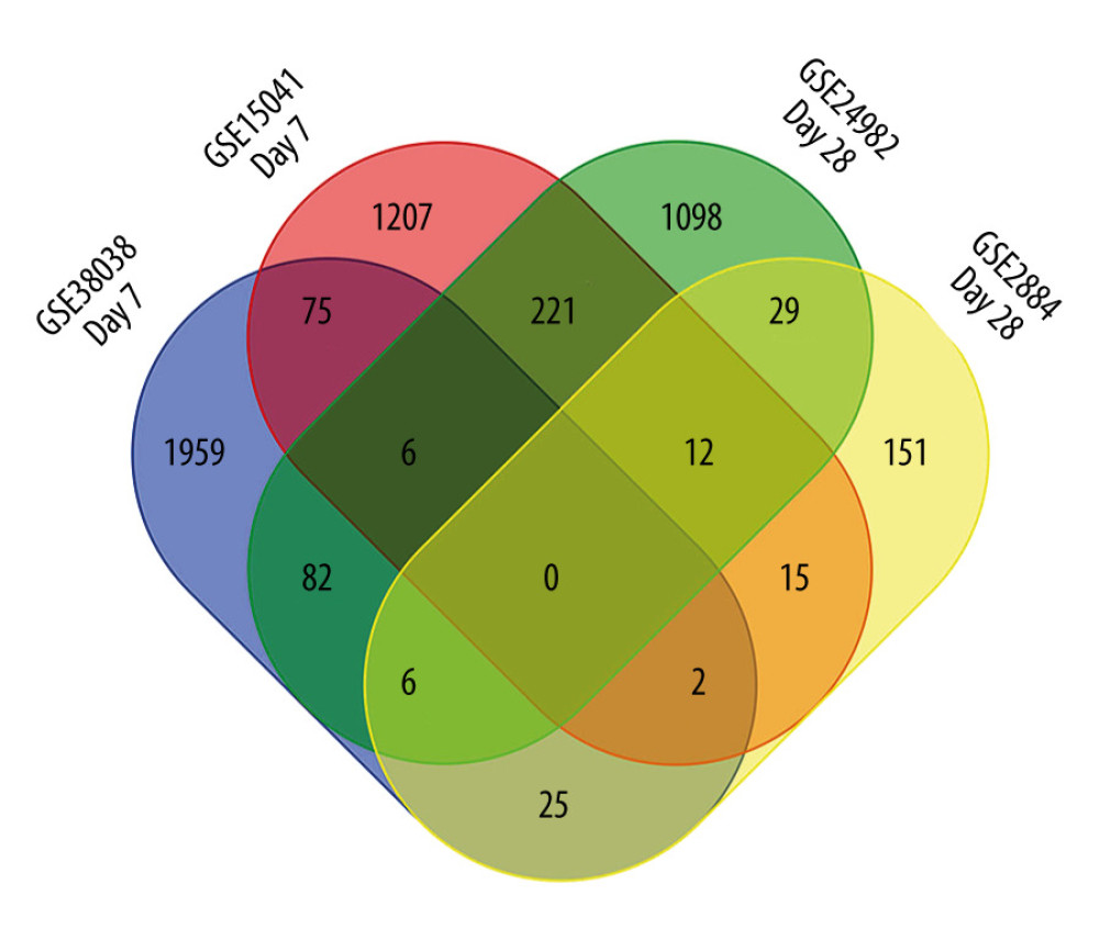 Venn diagram of common differentially expressed genes (DEGs). Intersections were analyzed among DEGs in GSE15041, GSE38038, GSE2884, and GSE24982 microarray datasets. The diagram was created by using a Venn diagram maker from the Van de Peer Lab. GSE15041 and GSE38038 were based on dorsal root ganglia collected on day 7 after spinal nerve ligation, while GSE2884 and GSE24982 were based on dorsal root ganglia collected on day 28.