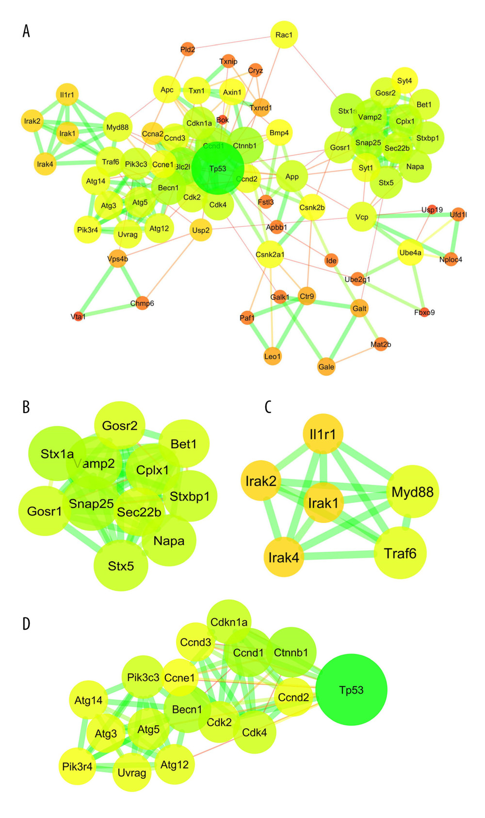 Protein–protein interaction (PPI) network analyses of common differentially expressed genes (DEGs) between GSE15041and GSE38038. (A) PPI network and the (B) first and (C) second sub-clusters. The PPI network charts were created using Cytoscape. The circle size of each protein represents its connection degree to other proteins. The width of each edge represents the combined score between the 2 proteins. (D) The hub genes were identified by the CytoHubba plugin in Cytoscape.
