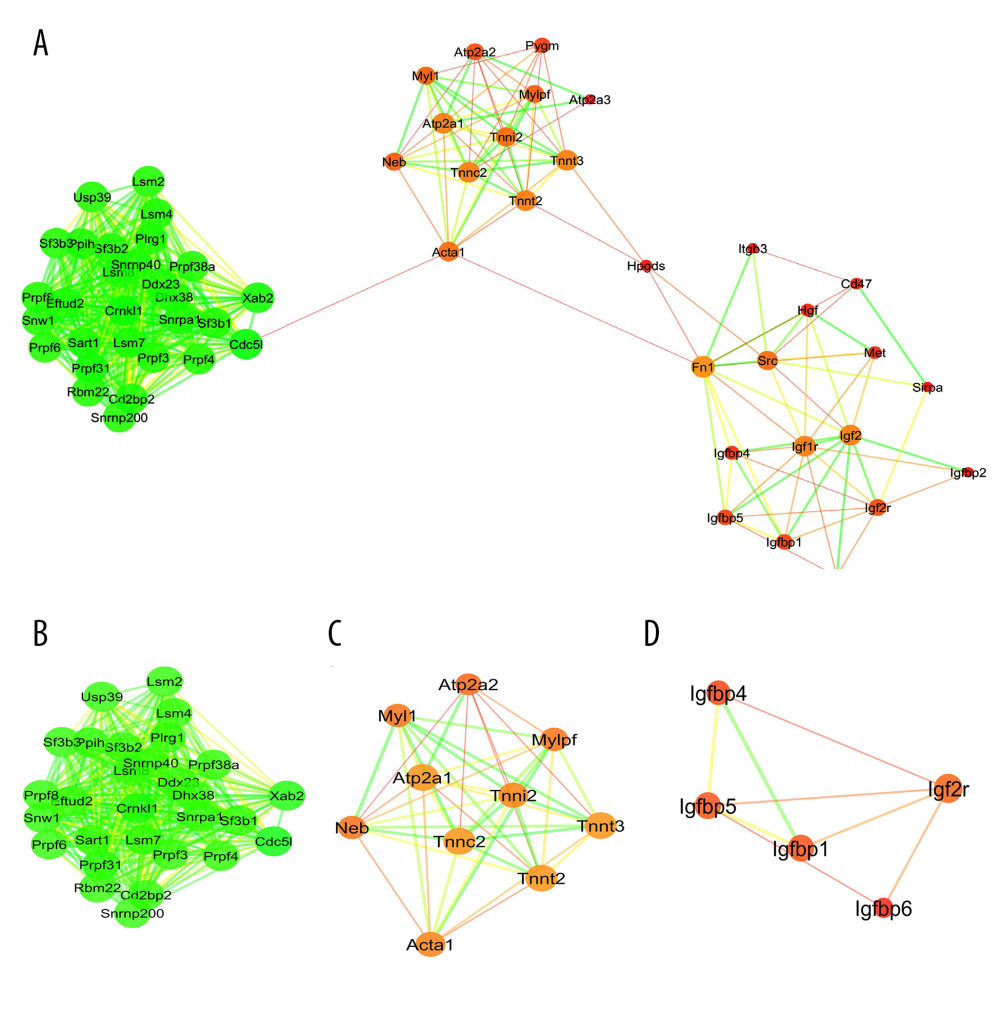 Protein–protein interaction (PPI) network analyses of common differentially expressed genes (DEGs) between GSE2884 and GSE24982. (A) PPI network and the (B) first and (C) second sub-clusters. The PPI network charts were created using Cytoscape. The circle size of each protein represents its connection degree to other proteins. The width of each edge represents the combined score between the 2 proteins. (D) The hub genes were identified by the CytoHubba plugin in Cytoscape.