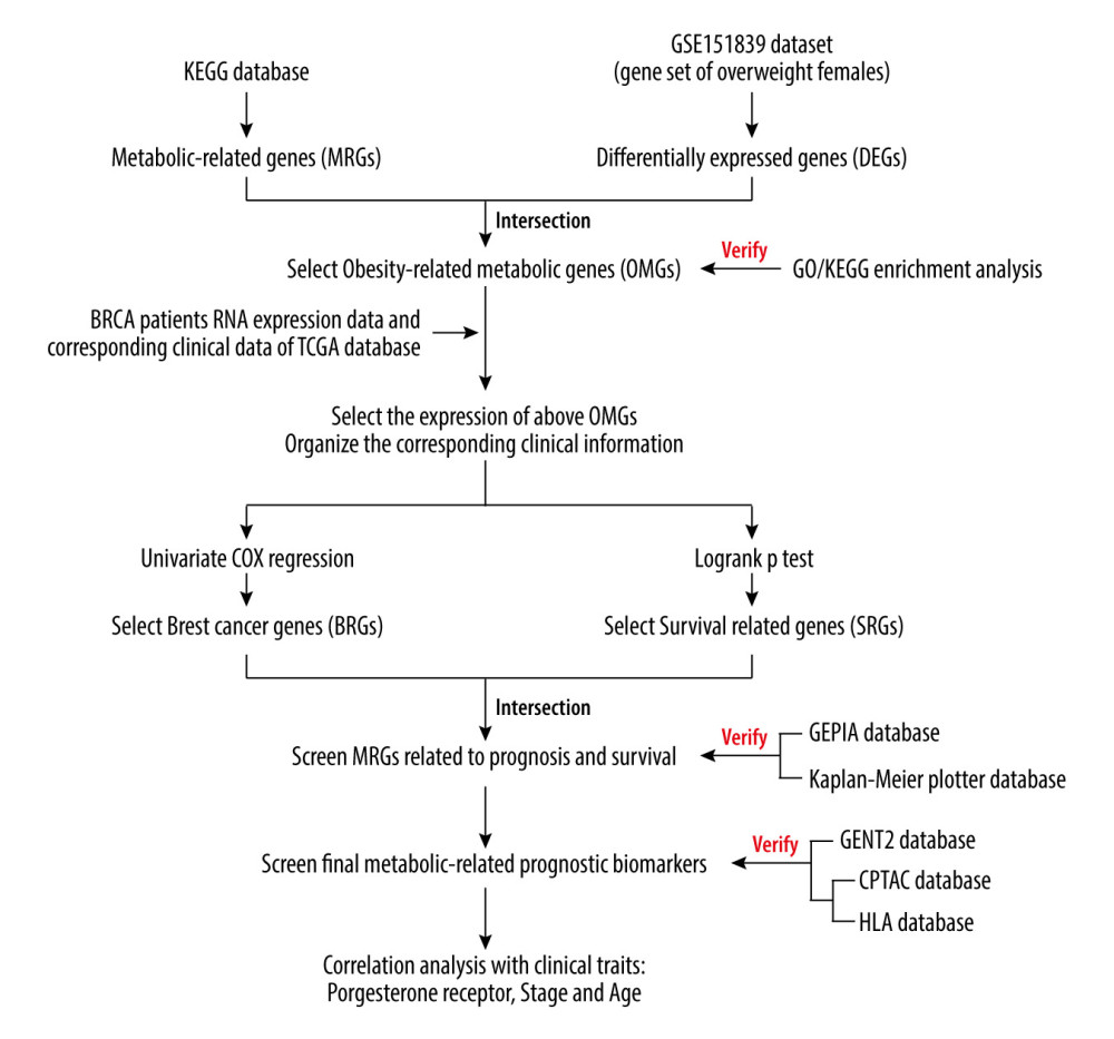 The analysis flow chart of the study.