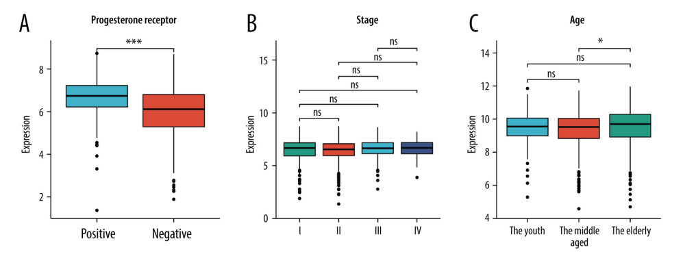 The correlation between HSD17B8 expression and clinical characteristics. (A) The correlation between HSD17B8 expression and PR. (B) The correlation between HSD17B8 expression and stage. (C) The correlation between HSD17B8 expression and age.