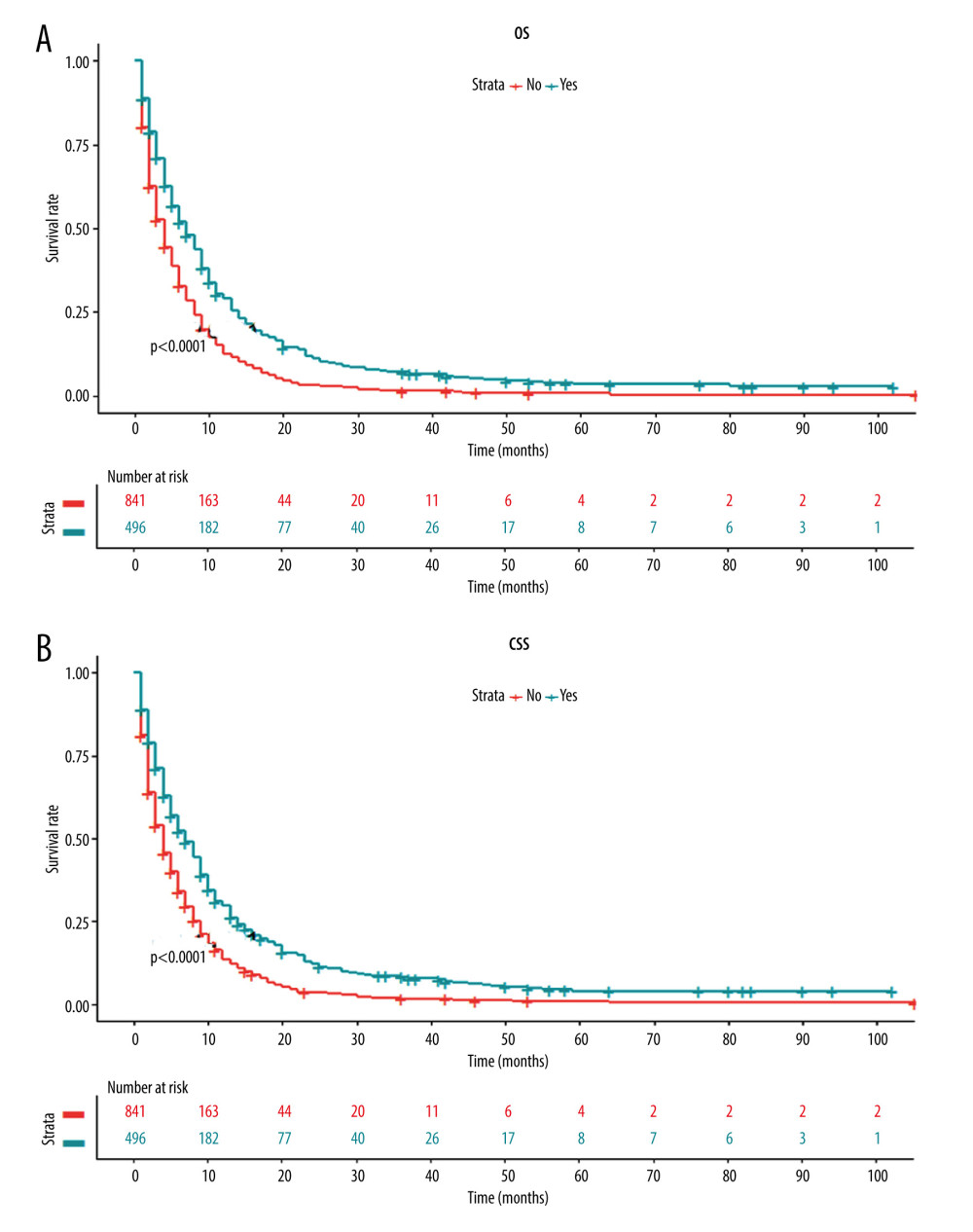 Kaplan-Meier curves for (A) overall survival and (B) carcinoma-specific survival stratified by primary tumor resection in the unmatched cohort.