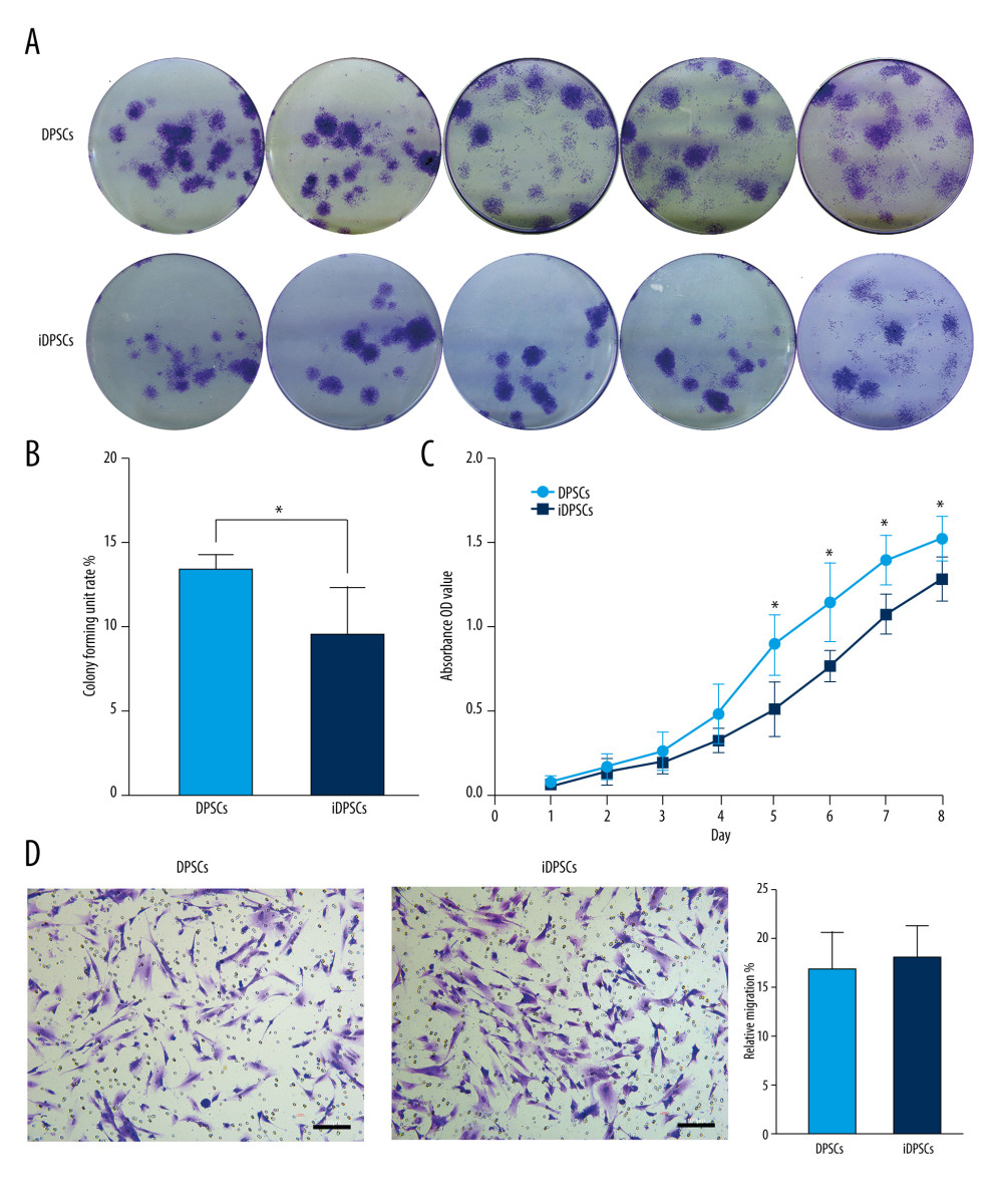 Clonogenic ability, cell proliferation and cell migration of the DPSCs and iDPSCs. (A) The clonogenic potential of DPSCs was significantly higher than that of iDPSCs judged from violet crystal staining. (B) The average colony formation efficiency was calculated from 5 samples. (C) DPSCs showed higher proliferation ability than iDPSCs from days 5 to 8 with CCK-8 test. * P<0.05. (D) The successful migration of DPSCs and iDPSCs showed similar migration potentials with crystal violet staining (magnification, ×20; scale bar, 100 μm); the bar graph represents the average migration rate analyzed from 5 samples. DPSCs – dental pulp stem cells; iDPSCs – inflammatory dental pulp stem cells. (Figure were created using Adobe Photoshop CS3, Adobe Systems Software Ireland, Ltd.).